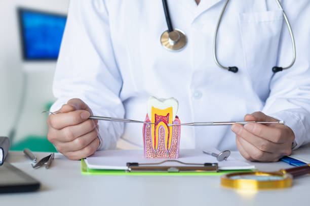 Best Emergency Dentist for Lost Fillings or Crowns in Lockhart, TX